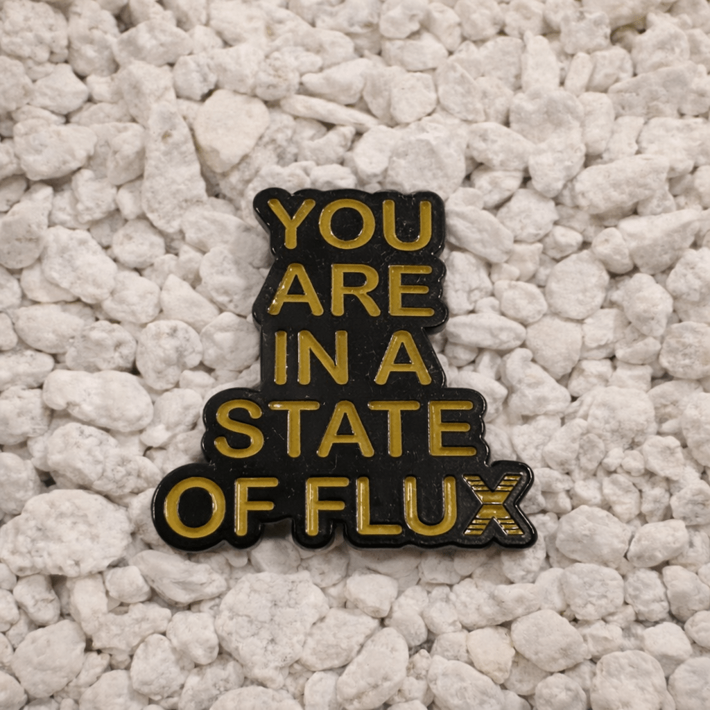 You Are In A State Of Flux Pin in black and yellow