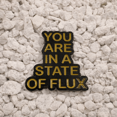 You Are In A State Of Flux Pin in black and yellow